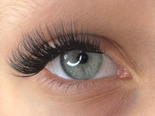 Load image into Gallery viewer, Blink Blooms-The Lilac