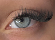 Load image into Gallery viewer, Blink Blooms-The Lilac