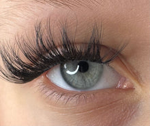 Load image into Gallery viewer, Blink Blooms- The Lily