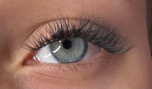 Load image into Gallery viewer, Blink Blooms- The Orchid
