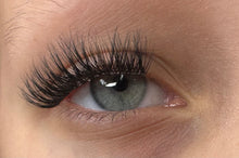 Load image into Gallery viewer, Blink Blooms- The Orchid
