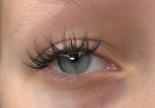 Load image into Gallery viewer, Blink Blooms-The Peony
